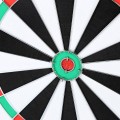 e7520f0fd45ed42d5588adfc30f95c2d